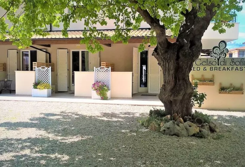 Il Gelso Di Sofia B&b