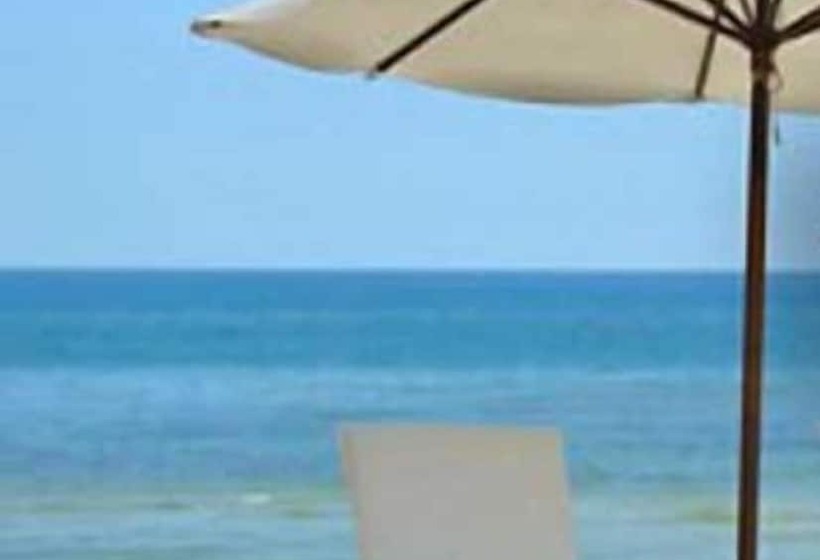 Il Gelso Di Sofia B&b