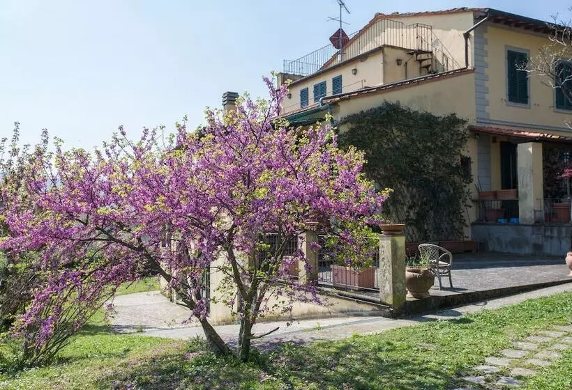 ベッドアンドブレックファースト Independent Loft On Florence S Hills