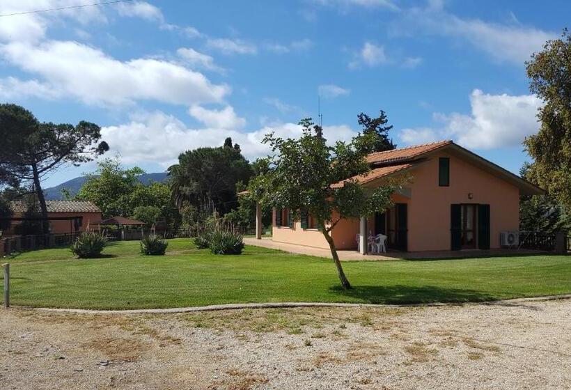 בית מלון כפרי Agriturismo Rebua