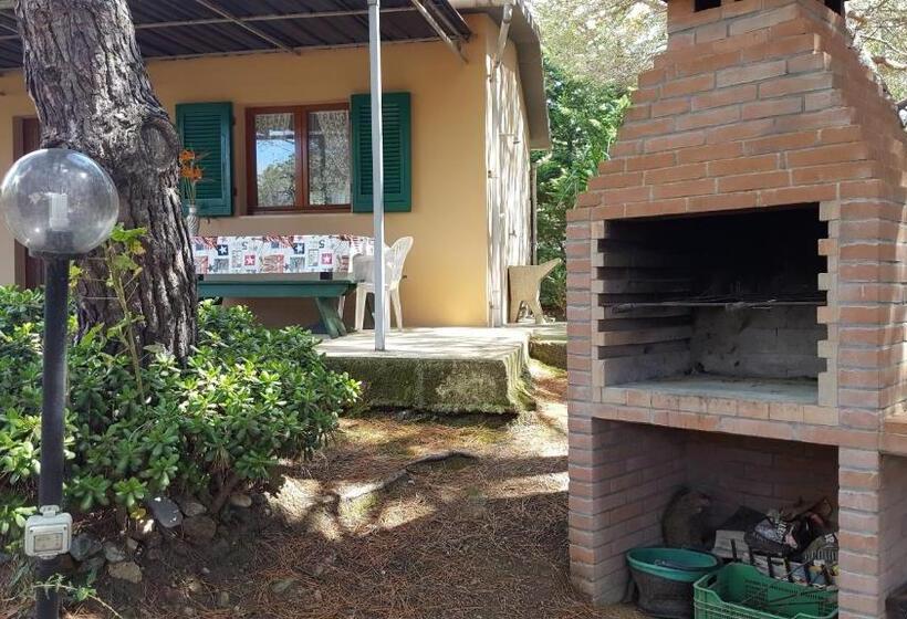 בית מלון כפרי Agriturismo Rebua