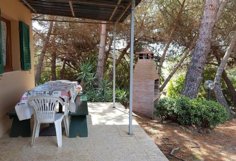 בית מלון כפרי Agriturismo Rebua