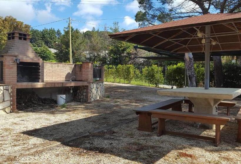 בית מלון כפרי Agriturismo Rebua