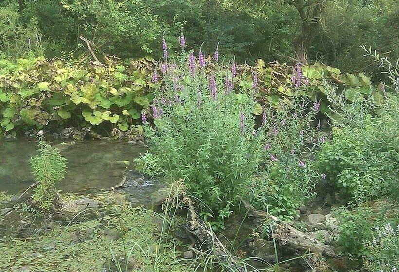 펜션 Antica Taverna Del Principe