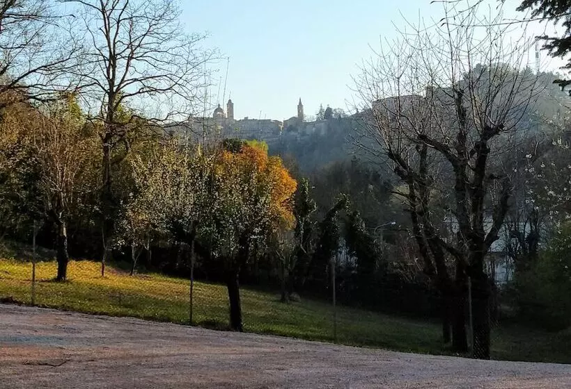 B&b Il Torchiourbino