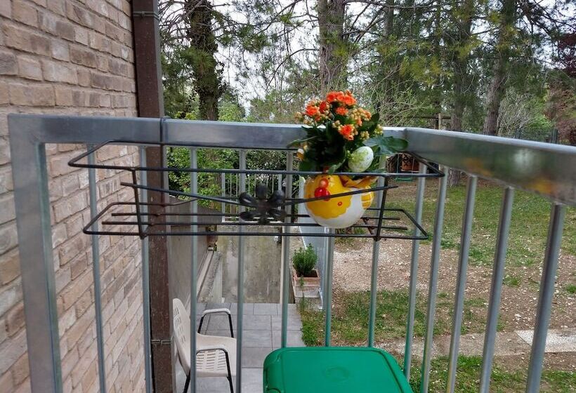 B&b Il Torchiourbino