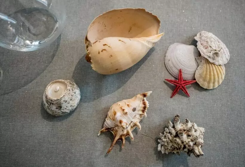 ベッドアンドブレックファースト Dove Sorge Il Sole