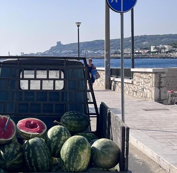 צימר Senia_rooms_vista