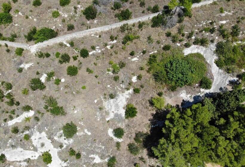 צימר Senia_rooms_vista