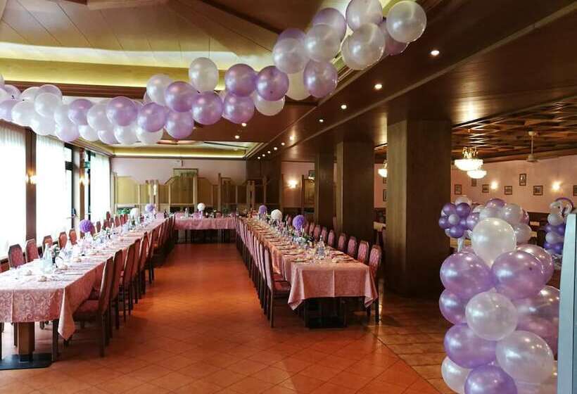 هتل Dolomiti Levico