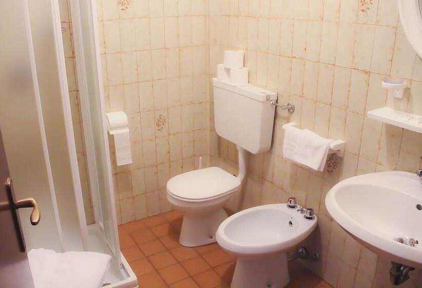 هتل Dolomiti Levico