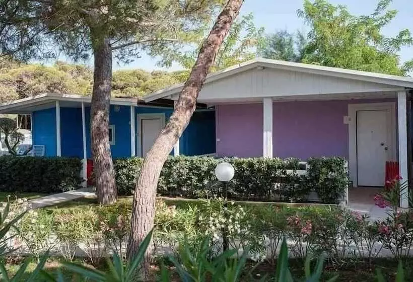 Hotelli Dream Village