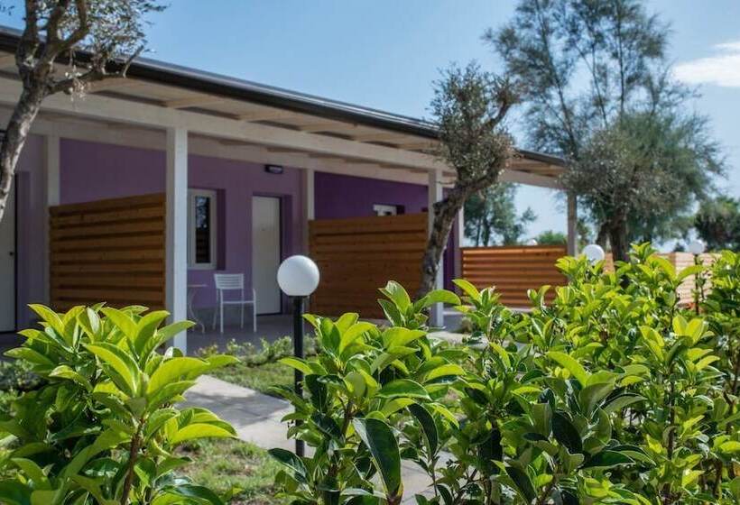 בית מלון כפרי Dream Village