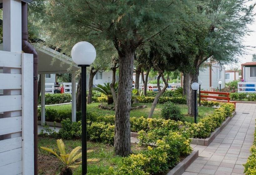 בית מלון כפרי Dream Village