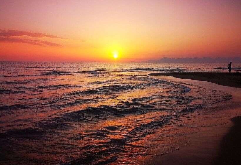 בית מלון כפרי Dream Village