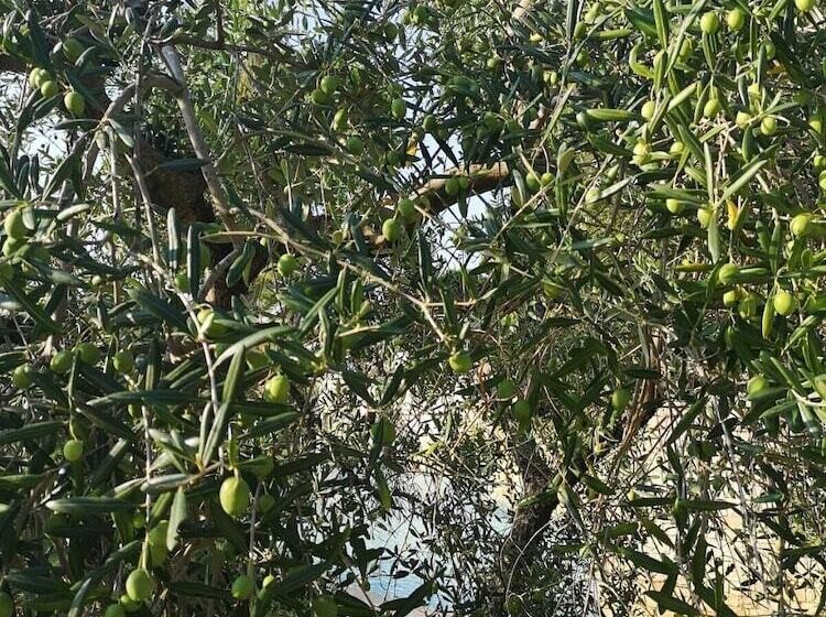 호텔 Villa Delle Querce Resort