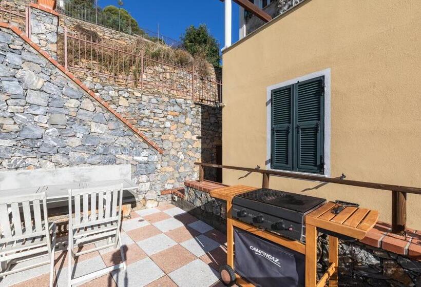 La Sterlizia Di Santa Croce