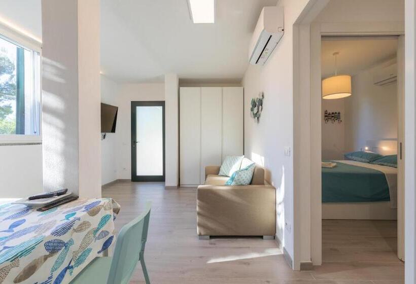 La Sterlizia Di Santa Croce