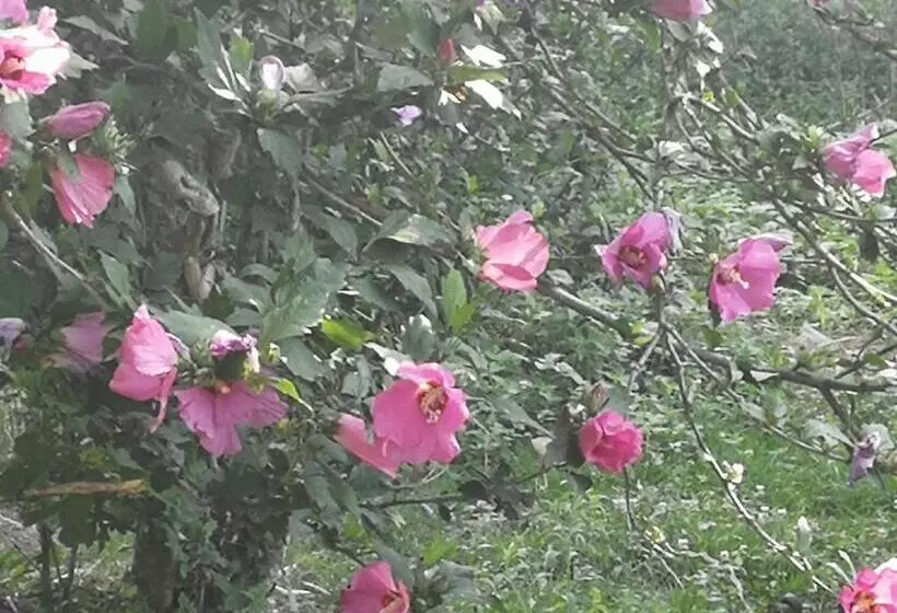 Ostello Di San Germano