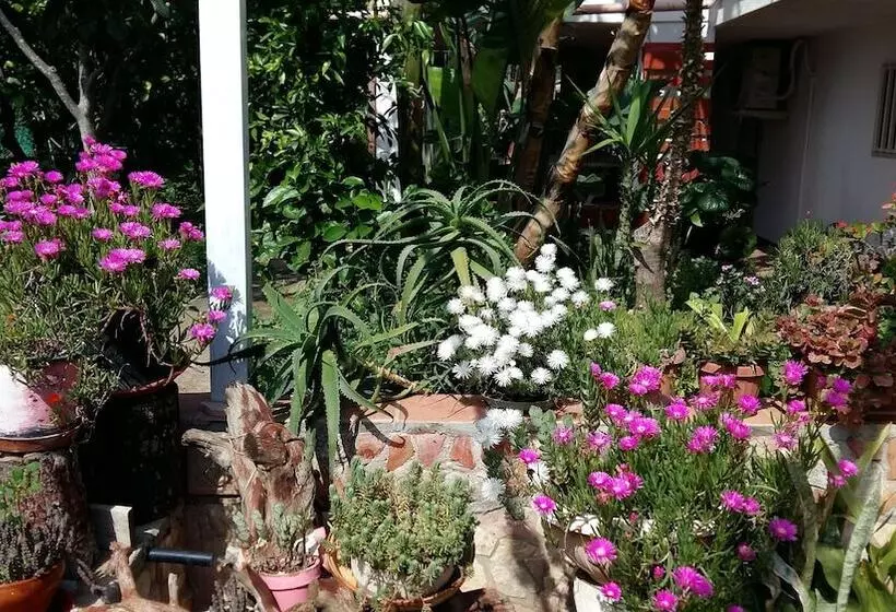 پانسیون Garden