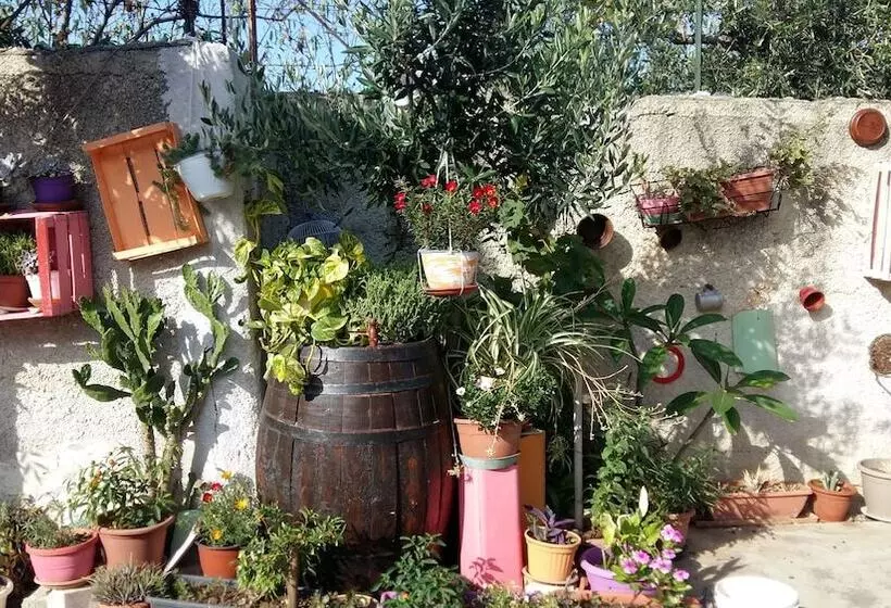 پانسیون Garden