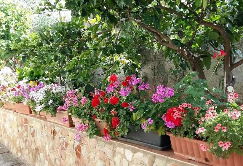 پانسیون Garden