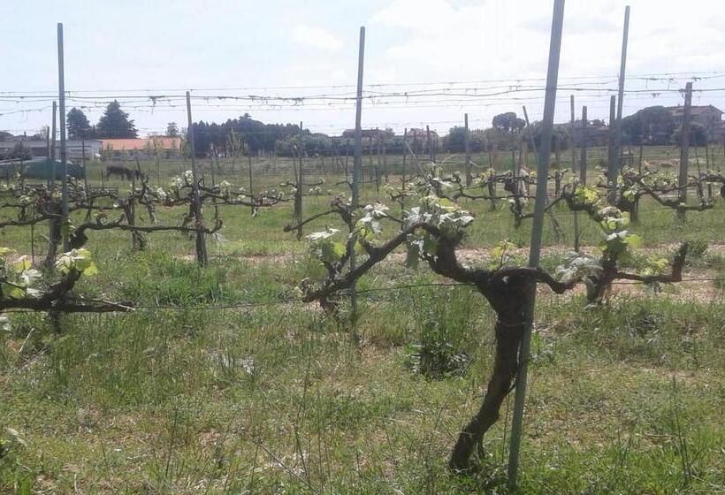 بنسيون Podere Alberello