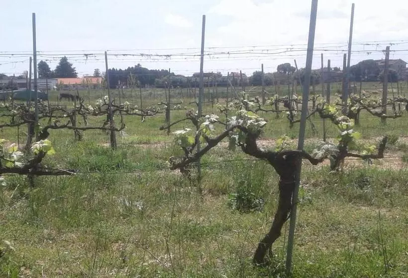 ペンション Podere Alberello