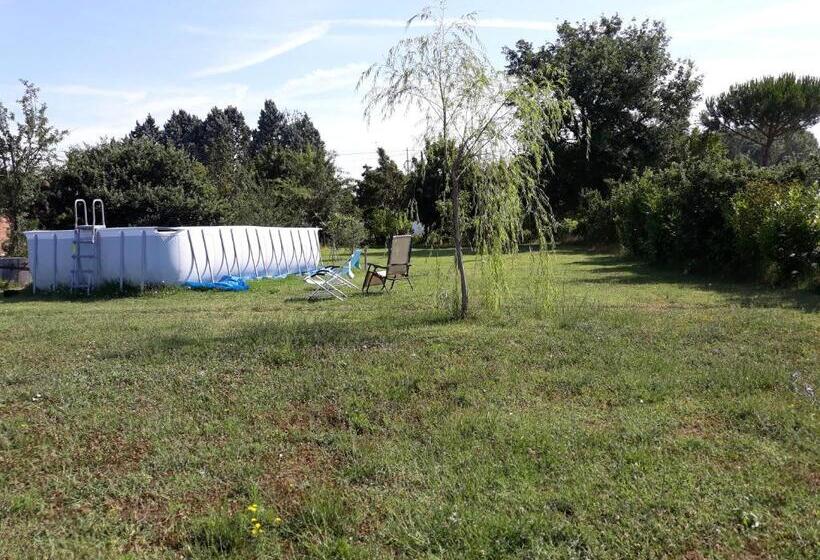 بنسيون Podere Alberello