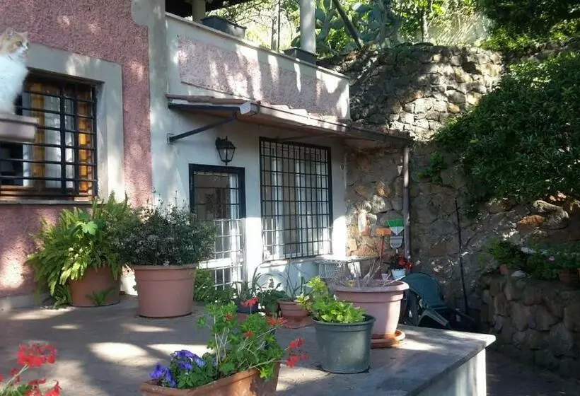 Aamiaismajoitus (B&B) Bed&breakfast Fiorella Sul Lago