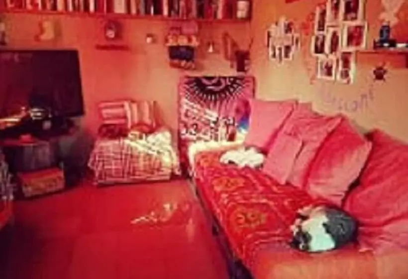 Majatalo Oasi Liv   Affittacamere