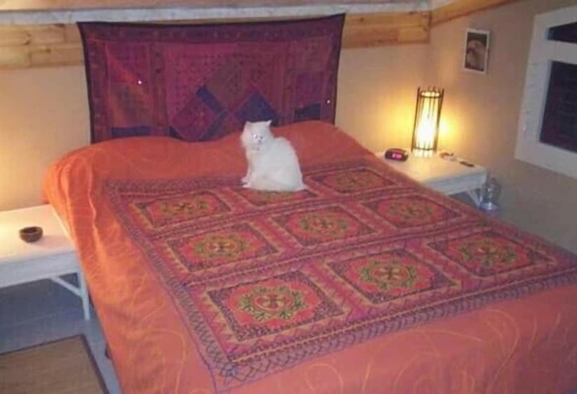 بنسيون Oasi Liv   Affittacamere