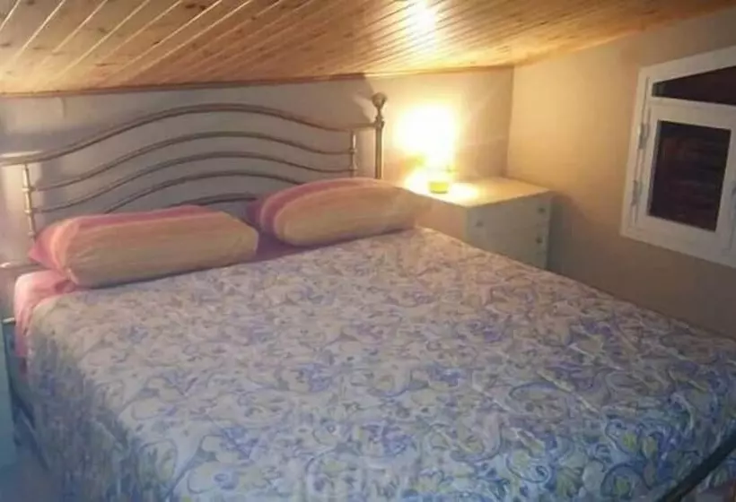 Majatalo Oasi Liv   Affittacamere