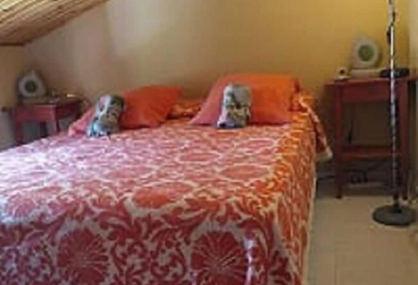 بنسيون Oasi Liv   Affittacamere