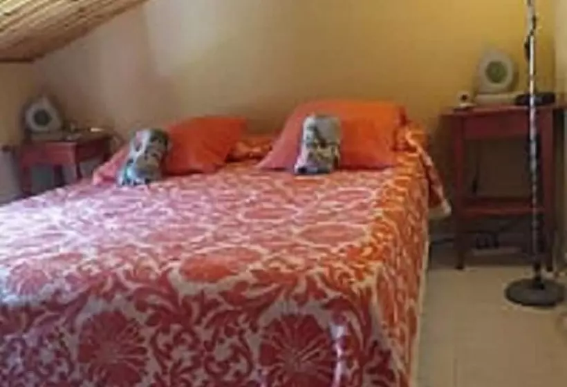 Majatalo Oasi Liv   Affittacamere