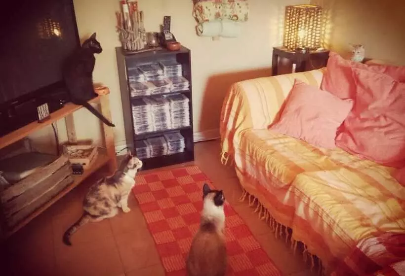 Majatalo Oasi Liv   Affittacamere