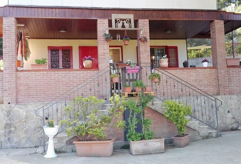 بنسيون Oasi Liv   Affittacamere