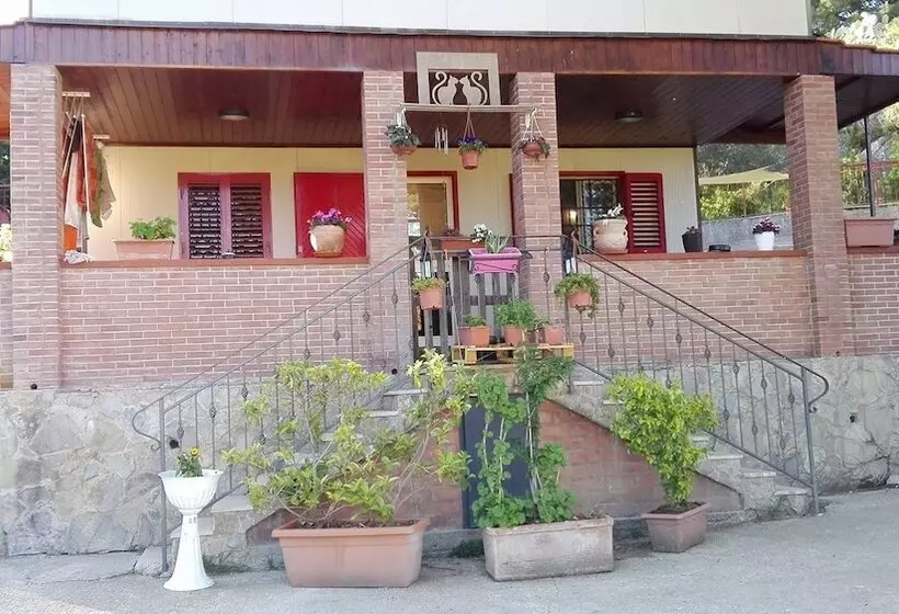 Majatalo Oasi Liv   Affittacamere