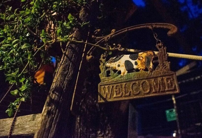 بنسيون Oasi Liv   Affittacamere