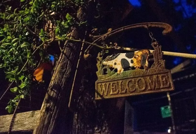 Majatalo Oasi Liv   Affittacamere