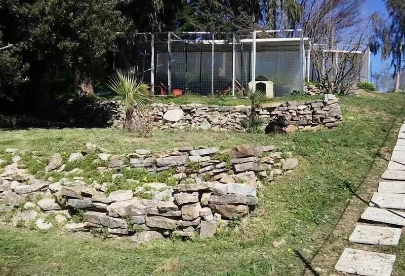 Majatalo Oasi Liv   Affittacamere