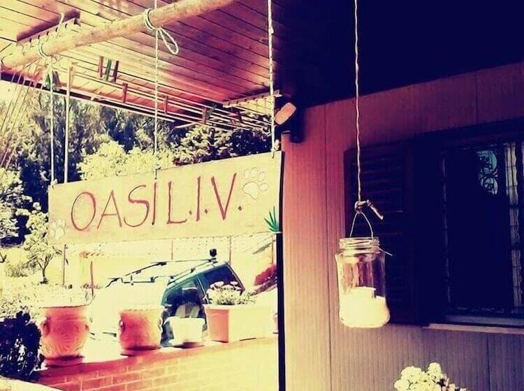 بنسيون Oasi Liv   Affittacamere