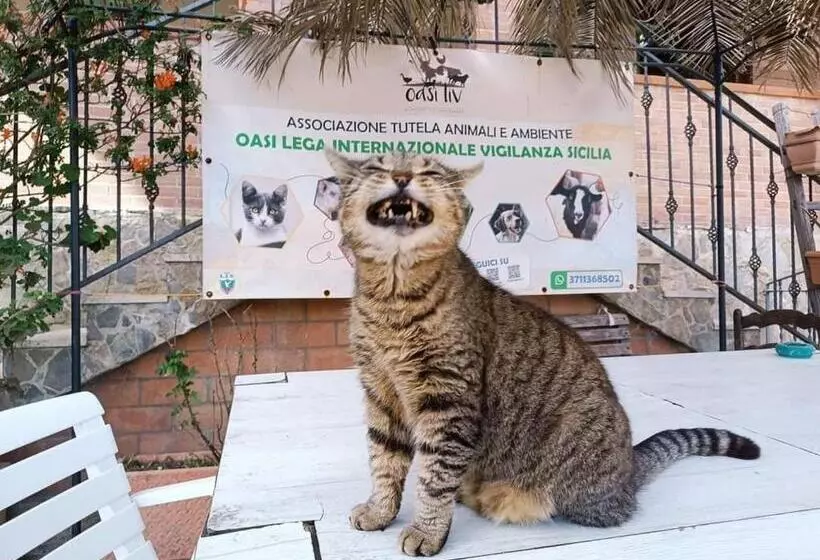 Majatalo Oasi Liv   Affittacamere