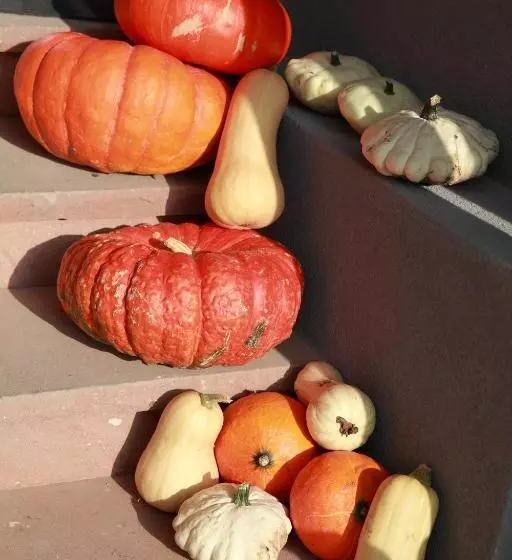 Отель Les Portes De La Vallee