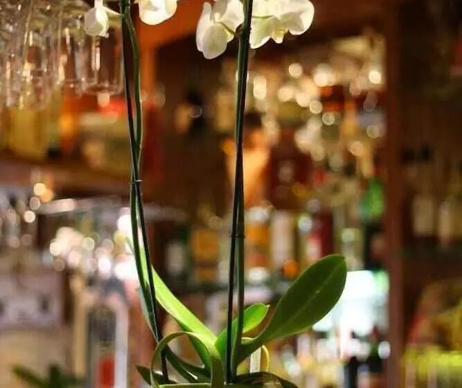 בית מלון כפרי Logis Auberge De La Fontaine