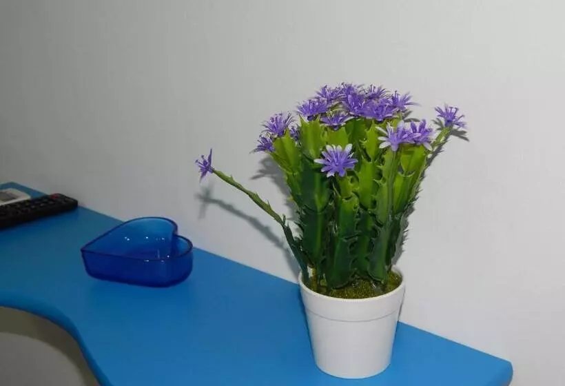 B&b 36 Passi Dal Mare