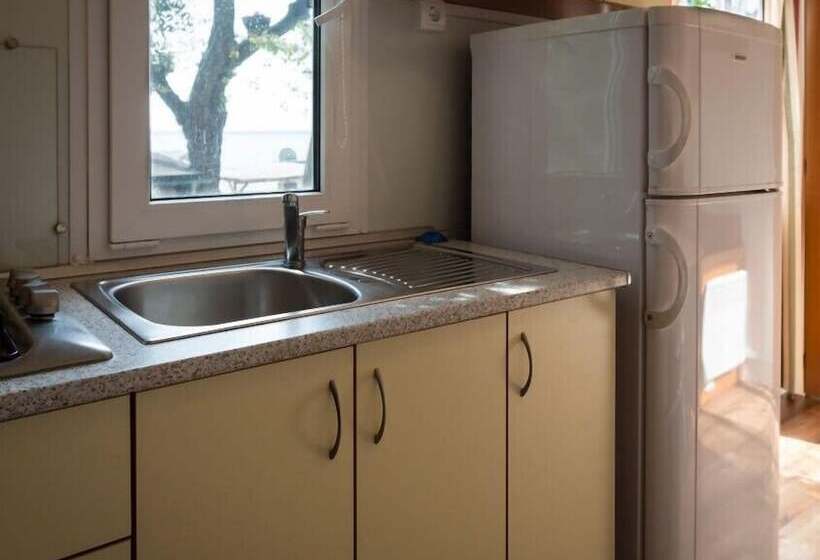 호텔 Campeggio Delle Rose