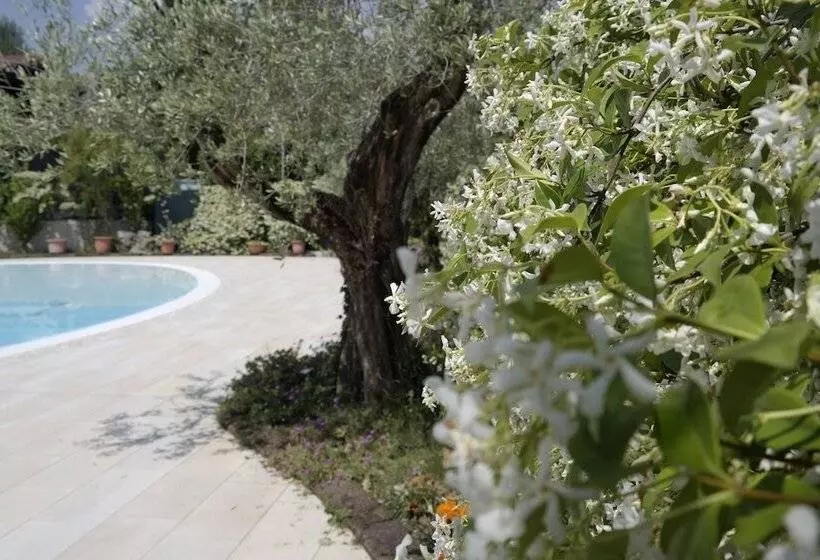 هتل Campeggio Delle Rose