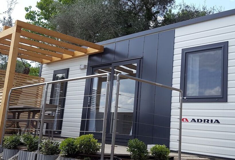 호텔 Campeggio Delle Rose