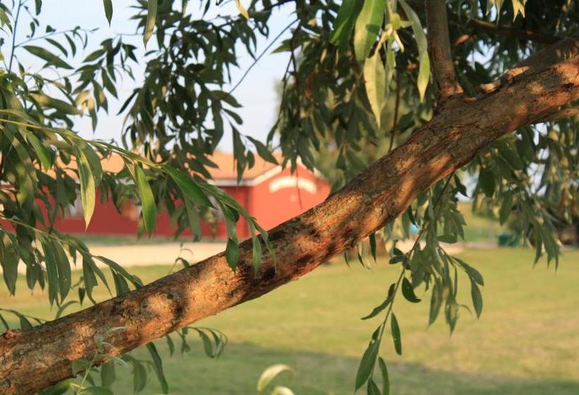 田舎風ホテル Agriturismo Ca' Pisani